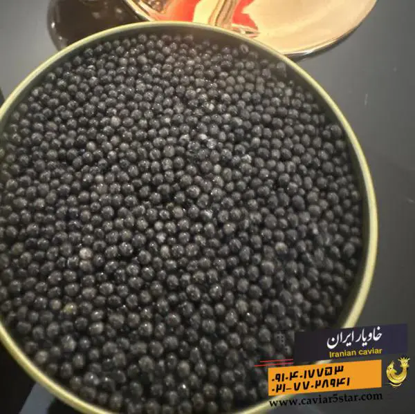تصویر شماره 2 محصول 