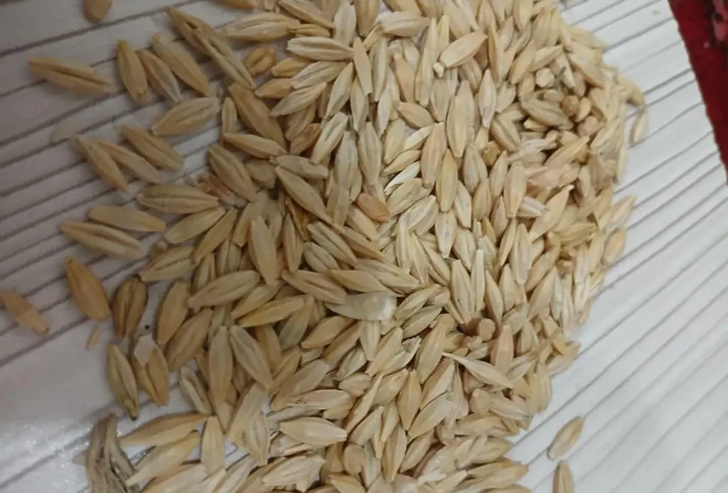 تصویر شماره 1 محصول 