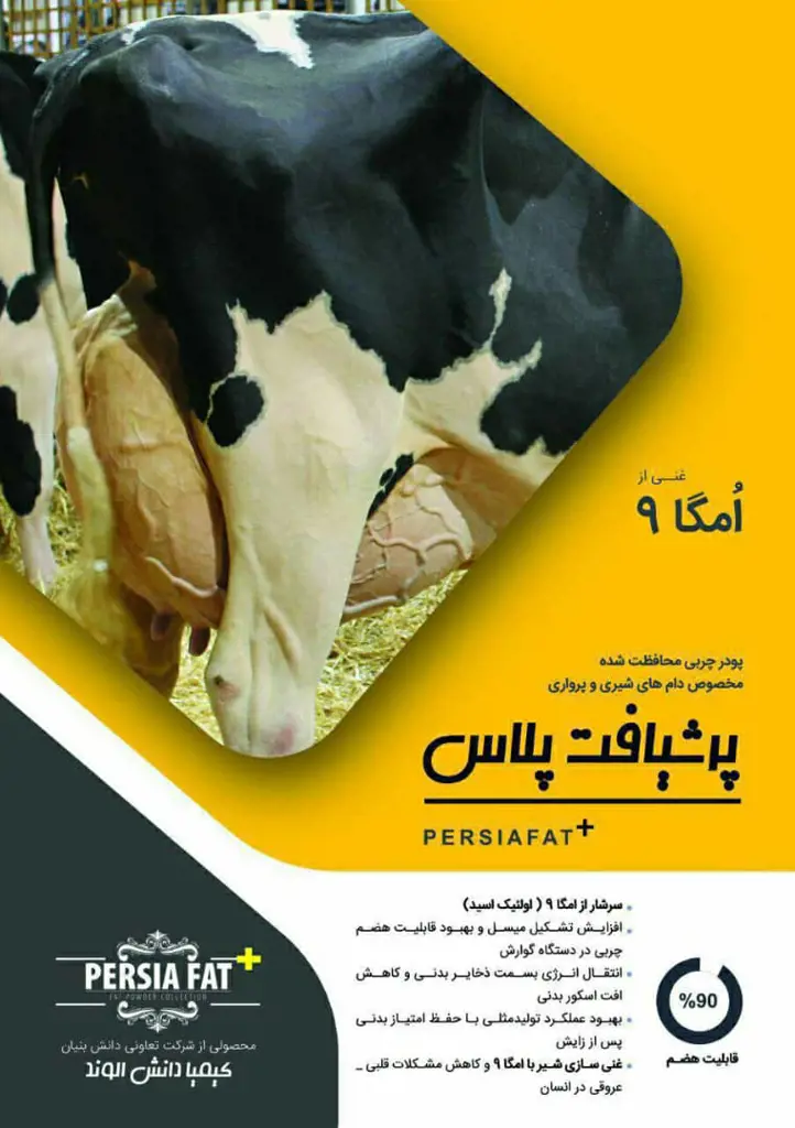 تصویر شماره 2 محصول 
