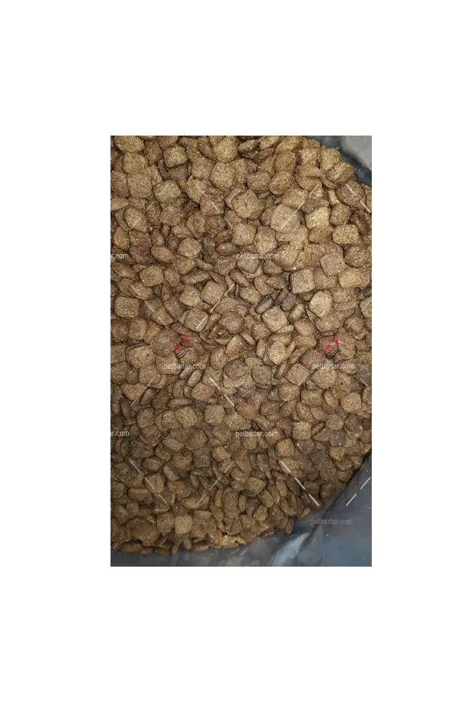 تصویر شماره 1 محصول 