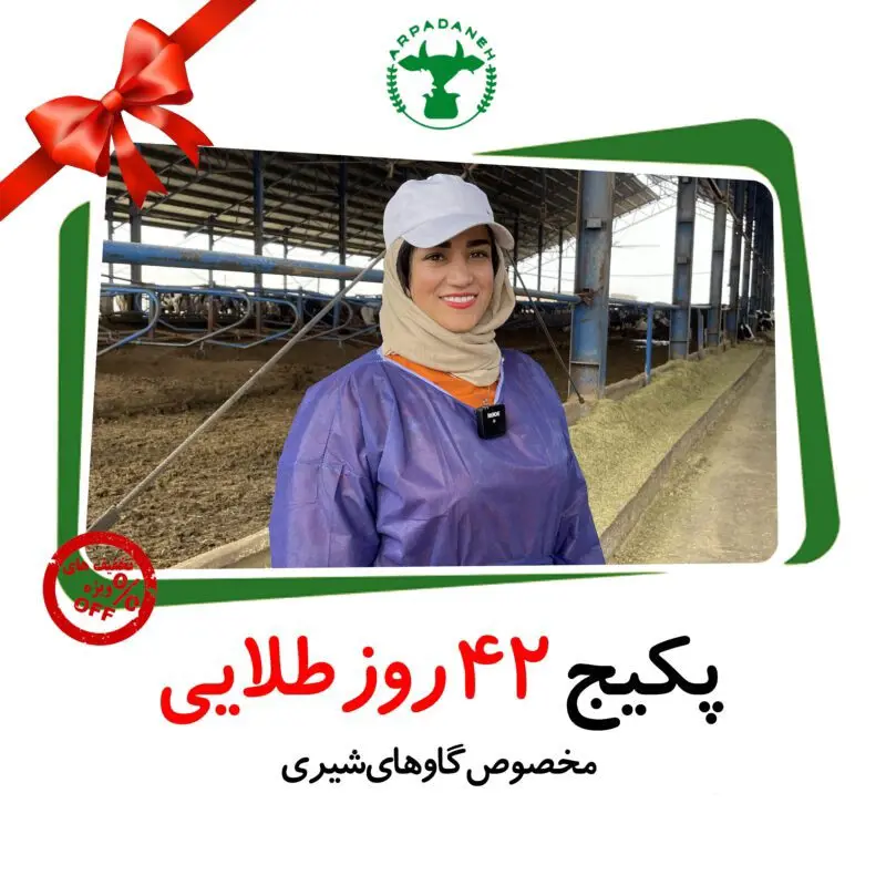 تصویر شماره 1 خدمت 