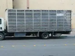 تصویر شماره 2 خدمت 