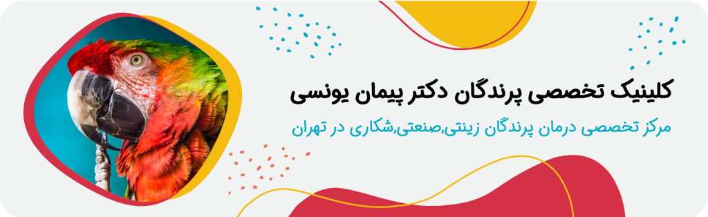 تصویر شماره 1 خدمت 