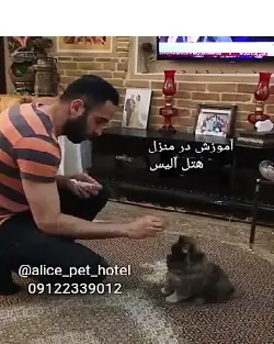 تصویر شماره 1 خدمت 