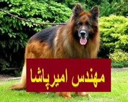 تصویر شماره 1 خدمت 