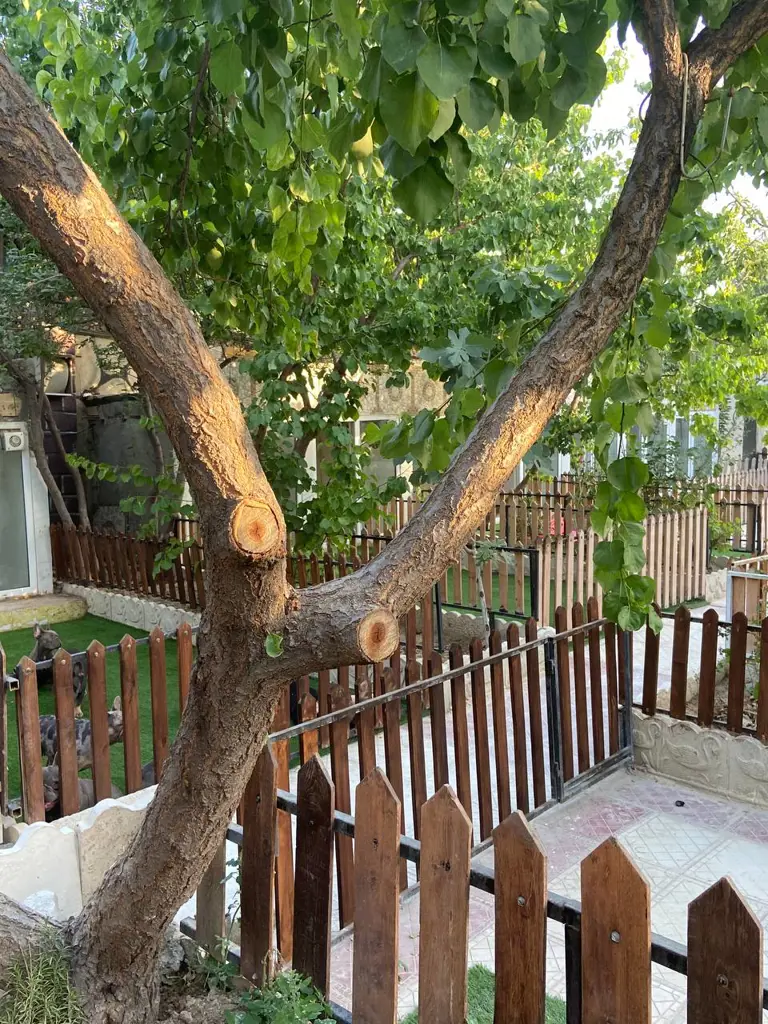 تصویر شماره 3 خدمت 