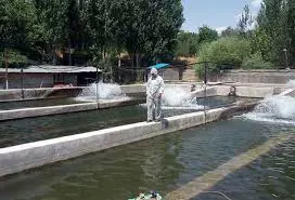 تصویر شماره 1 خدمت 