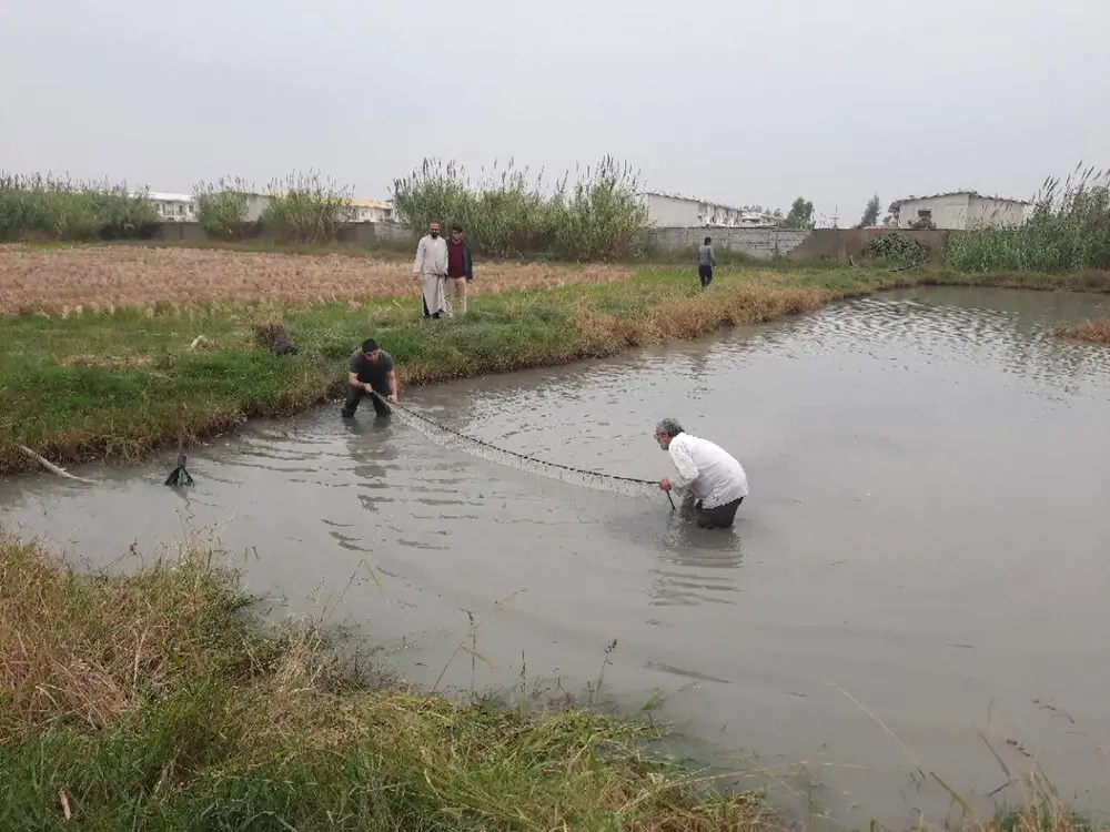 تصویر شماره 1 خدمت 