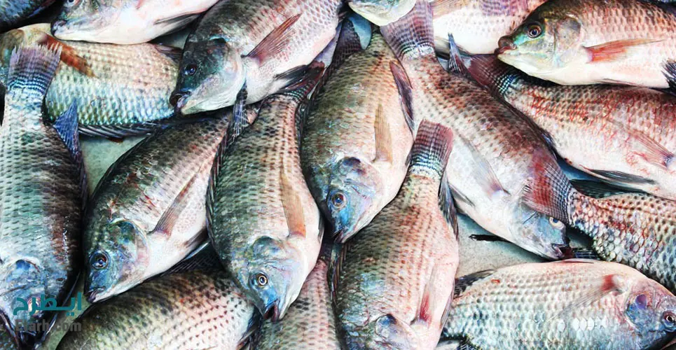 تصویر شماره 1 خدمت 