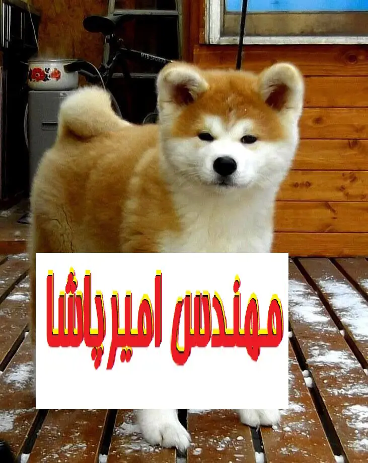 تصویر شماره 2 خدمت 