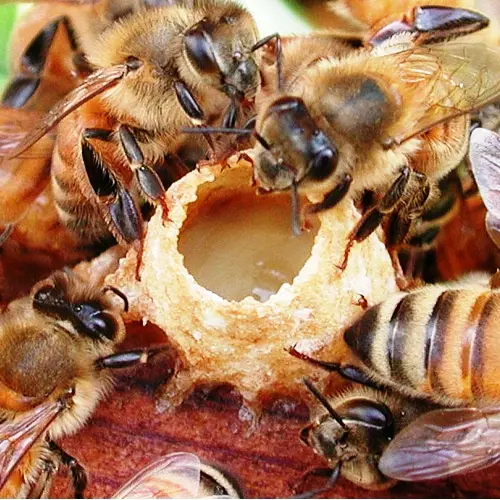 تصویر شماره 1 خدمت 