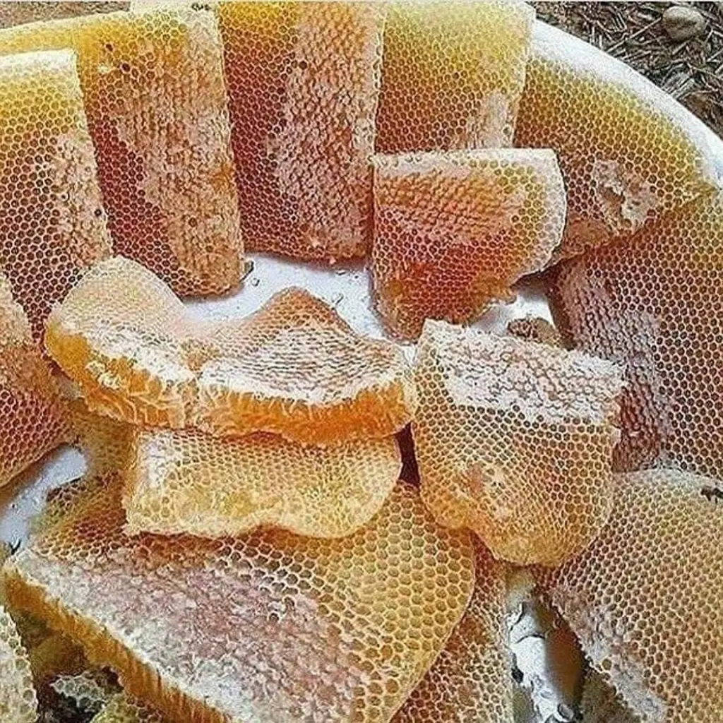 تصویر شماره 4 خدمت 