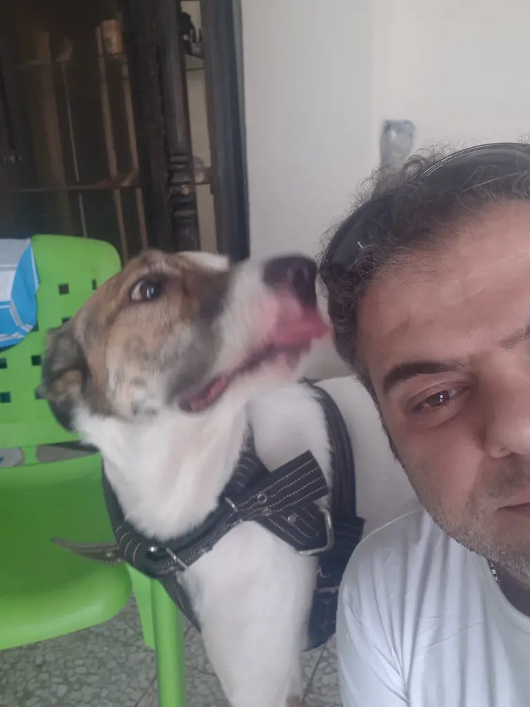 تصویر شماره 1 خدمت 