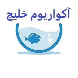 آکواریوم خلیج