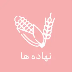 نهاده دامی ارسلان
