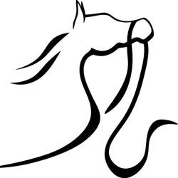 فروشگاه اکسسوری اسب سارک