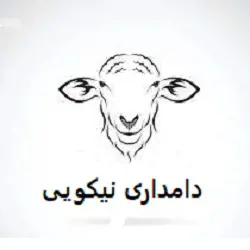 دامداری صنعتی  نیکویی