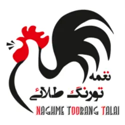 شرکت نغمه تورنگ 