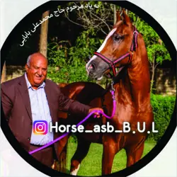 فروشگاه محصولات اسبی مظاهری