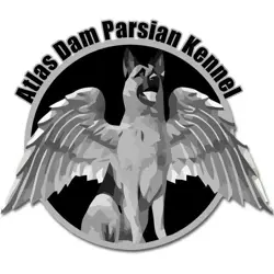 شرکت اطلس دام پارسیان