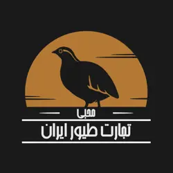 تجارت طیورایران محبی