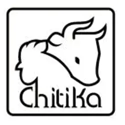 چیتیکا