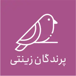 پت شاپ سون 