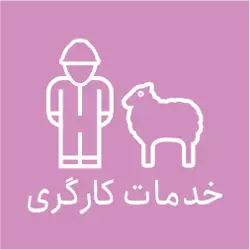 تامین نیروی انسانی مجرب فاروقی