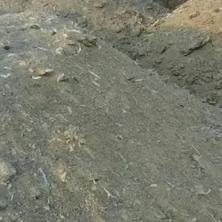 کود مرغی خانجانی