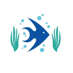 فلاور سیتی