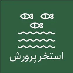 چشمه ماهی