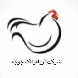 فروش جوجه گوشتی اریافرتاک جوجه