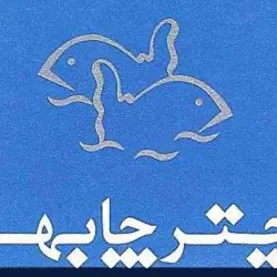 پودرماهی چتر چابهار 