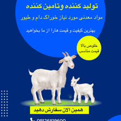 کربنات خورشید