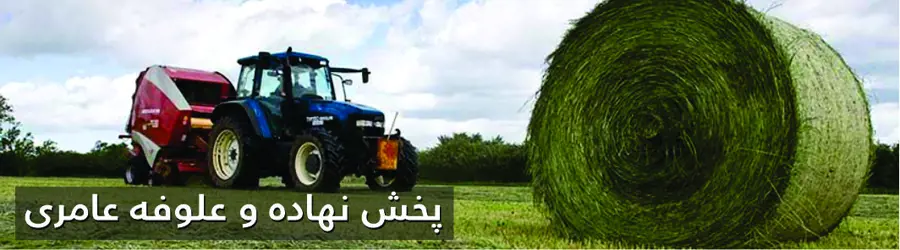 شرکت بازرگانی پاکدام عرب عامری