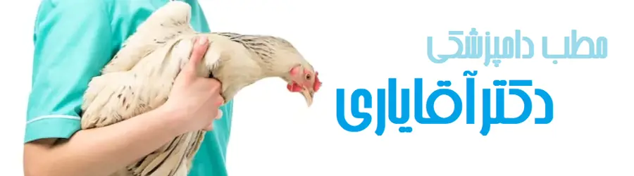 مطب دامپزشکی دکتر آقایاری