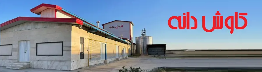 کاوش دانه