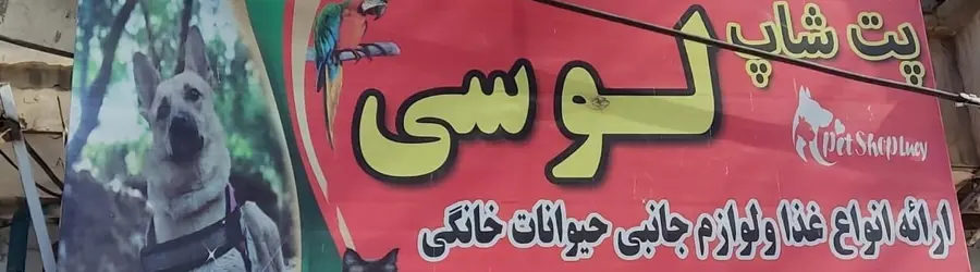 پت شاپ لوسی