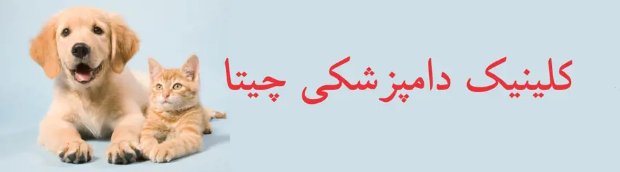 کلینیک دامپزشکی چیتا