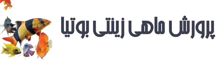 پرورش ماهی بوتیا