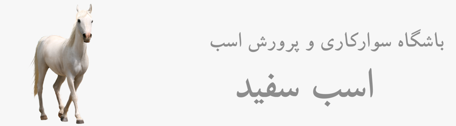 باشگاه سوارکاری اسب سفید