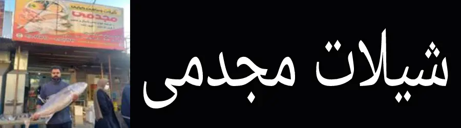 شیلات مجدمی