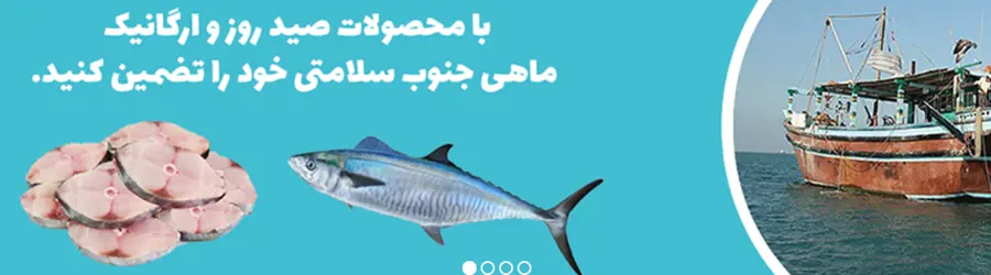 ماهی جنوب