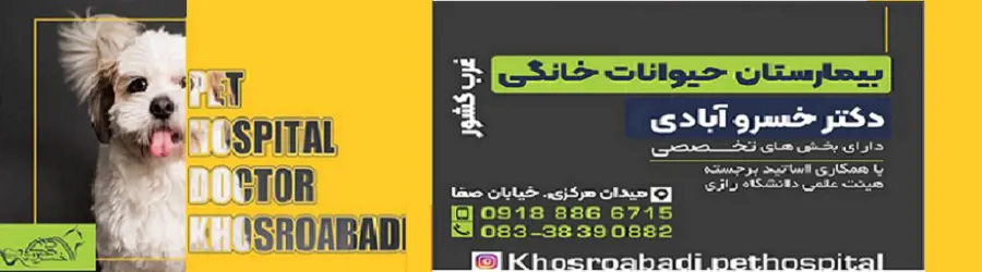 بیمارستان حیوانات خانگی دکتر خسروآبادی