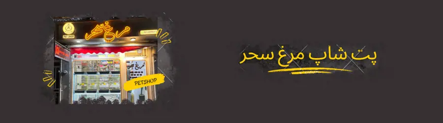 پت شاپ مرغ سحر