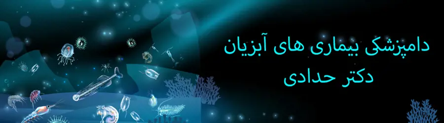 دامپزشک بیماری های آبزیان