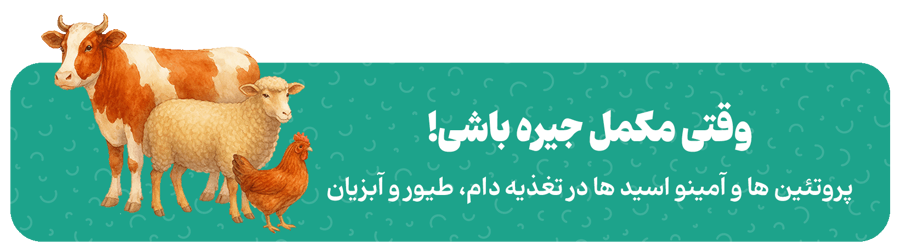 غرفه آمیناژ