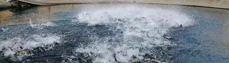 غرفه استخر پرورش ماهی بهمنی