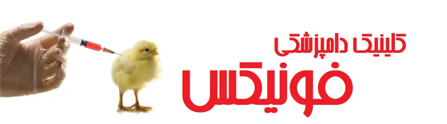 کلینیک دامپزشکی و پت شاپ  فونیکس