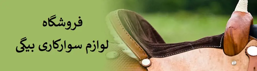 لوازم سوارکاری بیگی